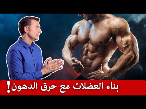 بناء العضلات وحرق الدهون في وقت واحد 0 3