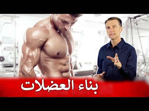 نبذه عن بناء العضلات