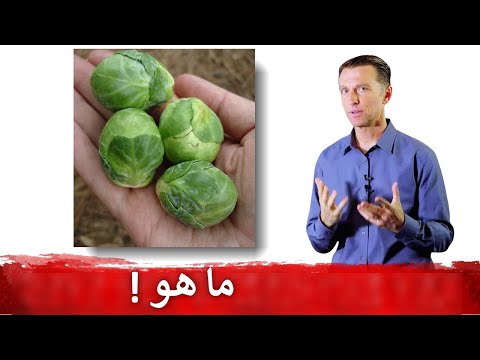 طعام يزيد الهرمون الانثوي الجيد ويقلل من المسرطن 0 98