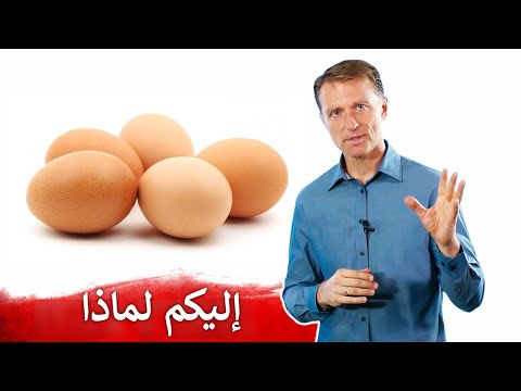 ما السبب في تناول خمس بيضات في اليوم