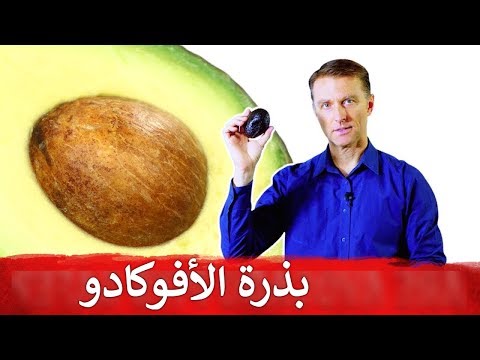 اهميه تناول بذره الافوكادو للجسم