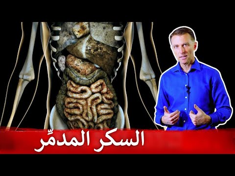 اعضاء رئيسيه في الجسم يدمرها السكر