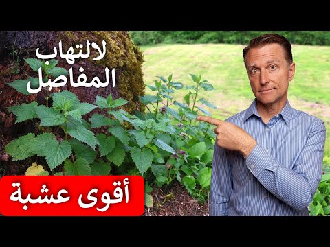 عشبة قوية لالتهاب المفاصل والنقرس والروماتيزم وطريقة استخدامها