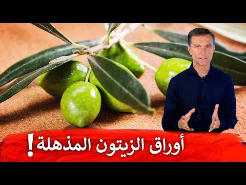 الفائده في تناول اوراق الزيتون