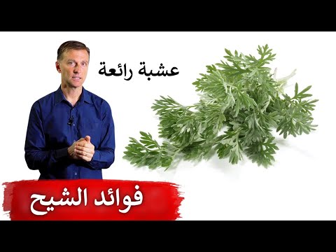 الاهميه في عشبه الشيح