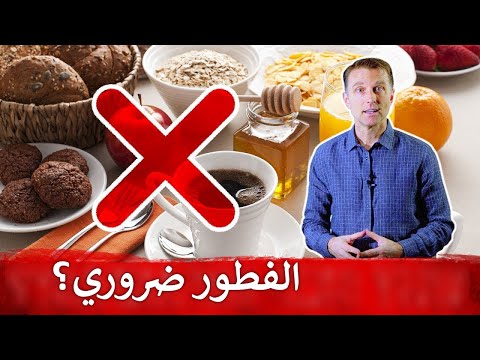 فائده وجبه الفطور لجسم الانسان