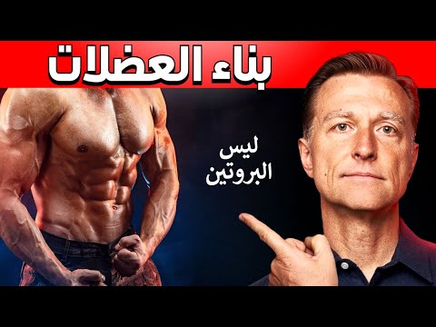 عوامل اساسيه في بناء العضلات 0 185