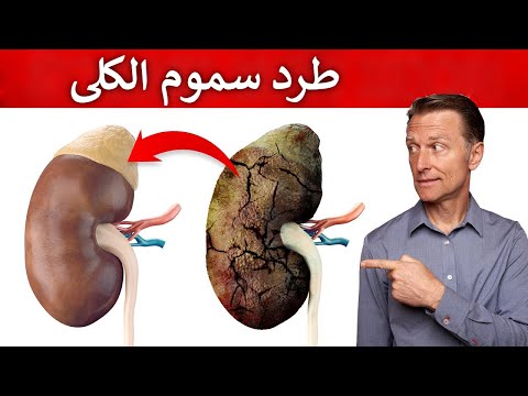 افضل الطرق لتطهير سموم الكلى